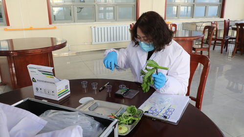 蠡縣“你點我檢”服務惠民，舌尖安全看得見